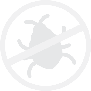 bug-single single bug